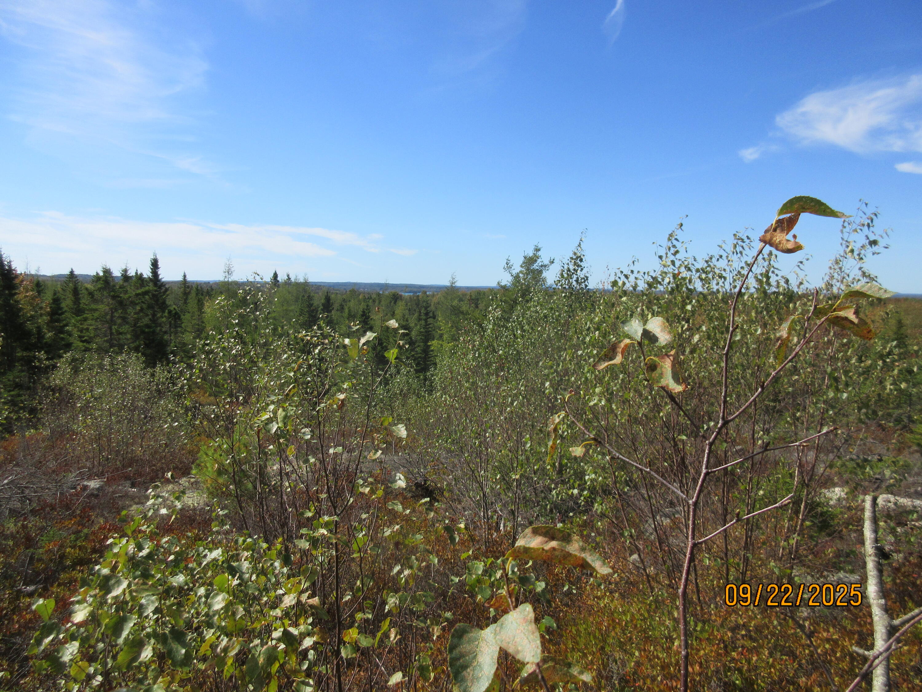 Lot #7 Highland Road Addison, ME 04606 - Photo 6 of 6