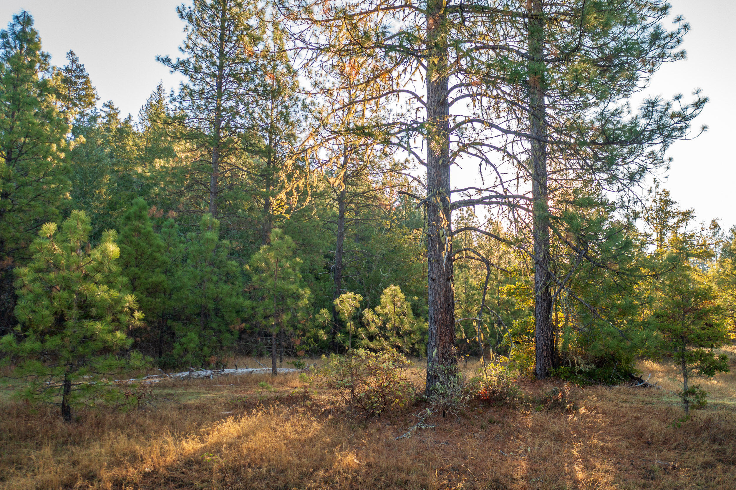 1070 Waldo Road O'Brien, OR 97534 - Photo 28 of 29 27