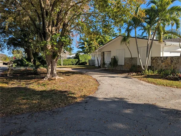 a view of a yard with plants and trees