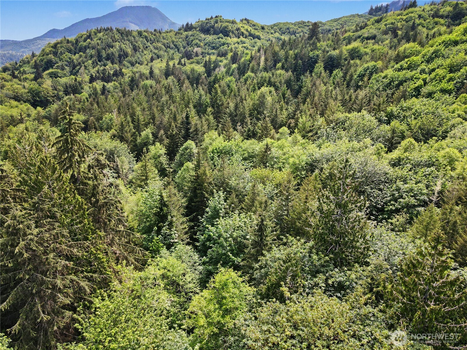 0 Wildwood Road Quilcene, WA 98376 - Photo 4 of 36