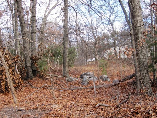 0 Randolph Street Canton, MA 02021 - Photo 3 of 3 Gallery Image 3