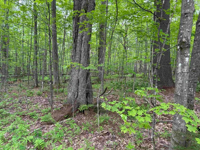 $599,900 | 2475 Little Hollow Road, Rochester, VT 05767