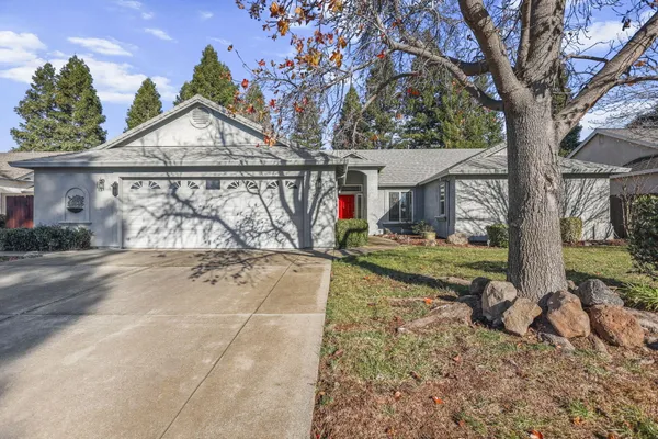 front view of a house with a large tree