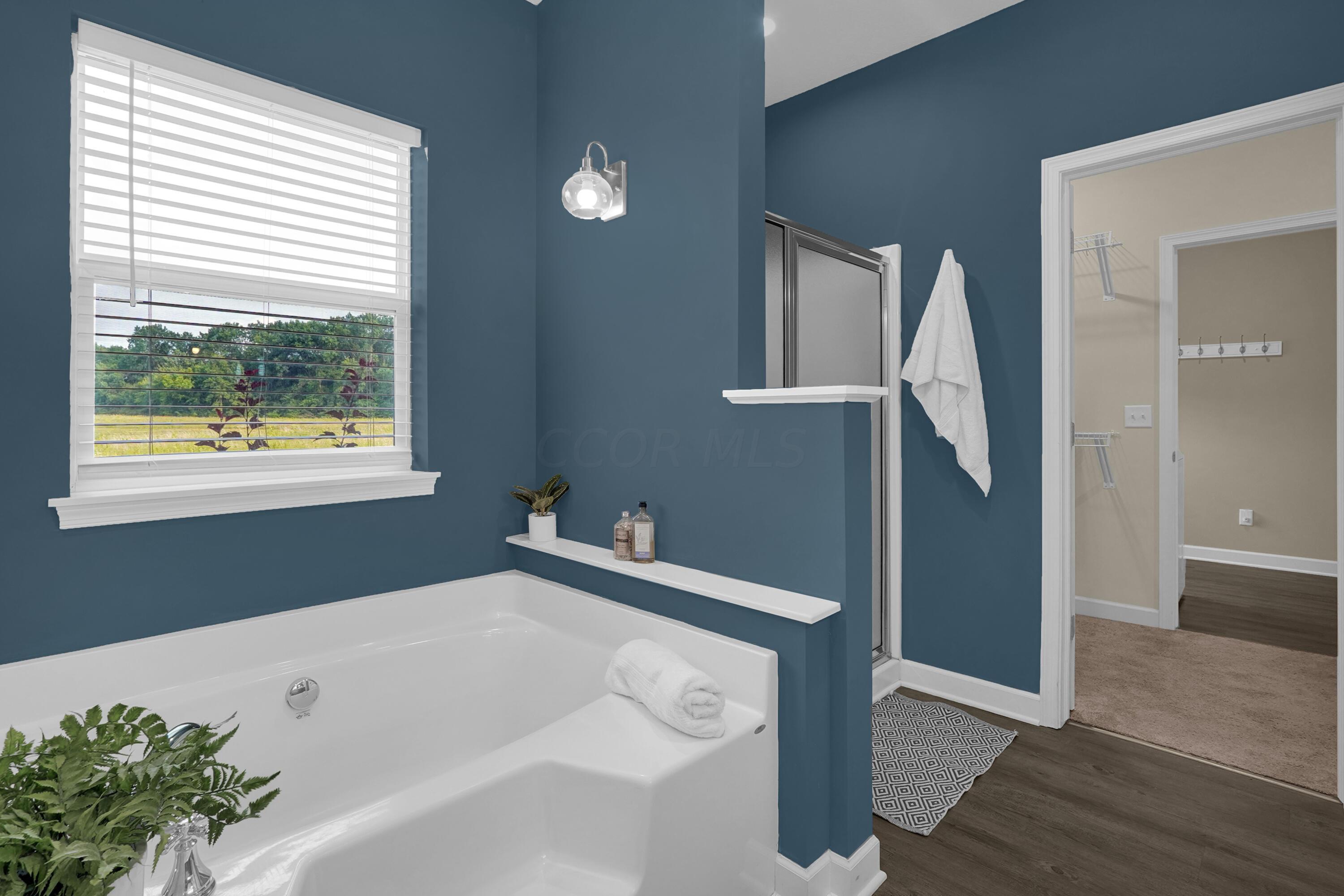 582 Dent Road Sunbury, OH 43074 - Photo 19 of 56 Soaker Tub