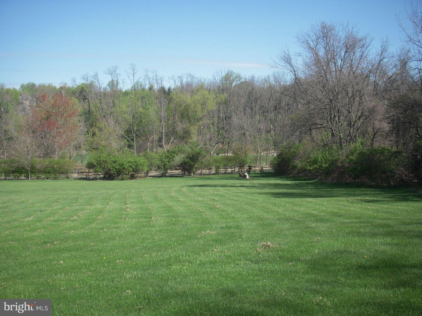 781 Little Conestoga Road Glenmoore, PA 19343 - Photo 9 of 15 Gallery Image 9