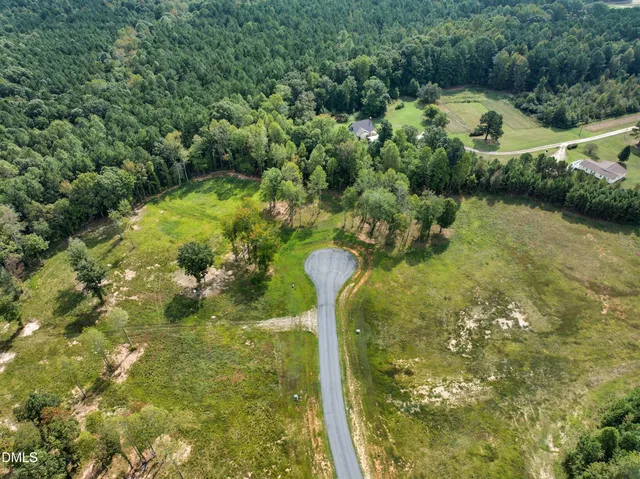 a view of a garden with plants