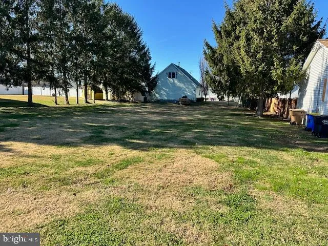 a view of a yard with an trees