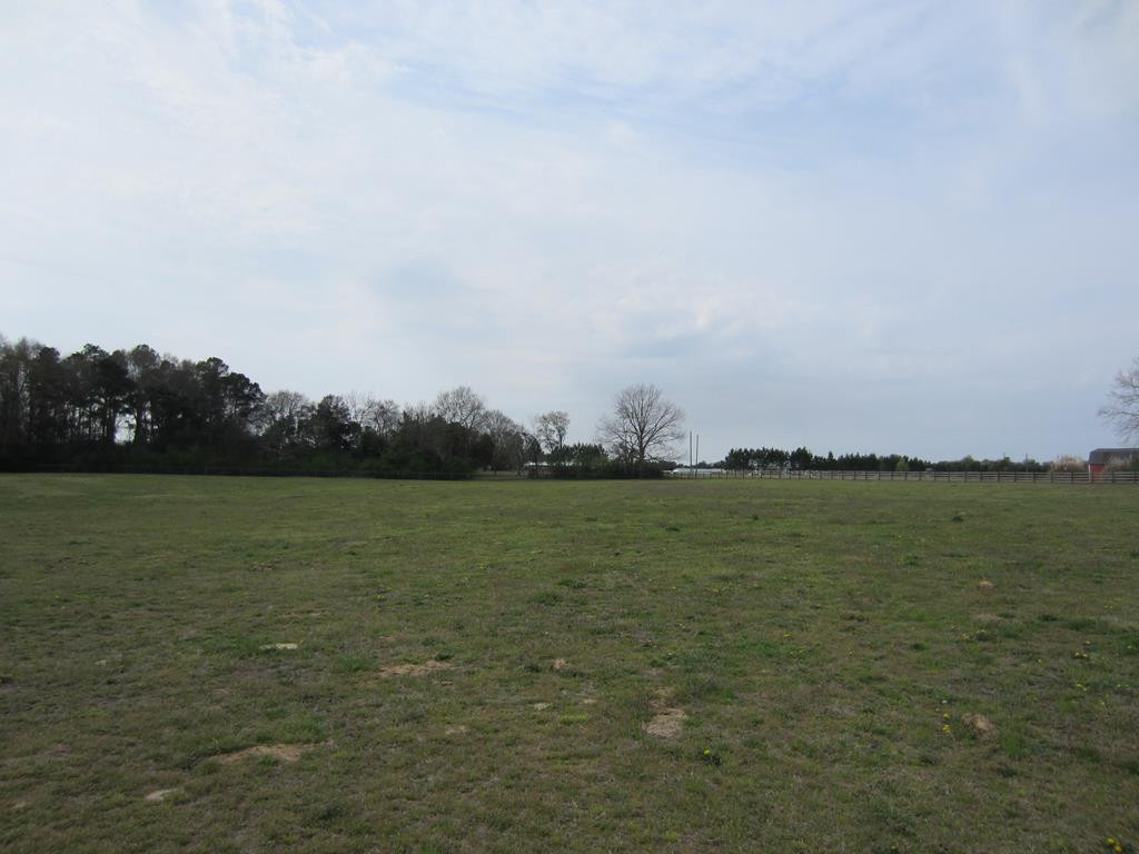 180 Harness Road Batesburg, SC 29006 - Photo 25 of 28