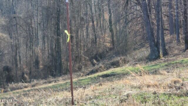 Lot 13 Lord Botetourt Court Baxter, TN 38544 - Photo 11 of 40 20260116_132056