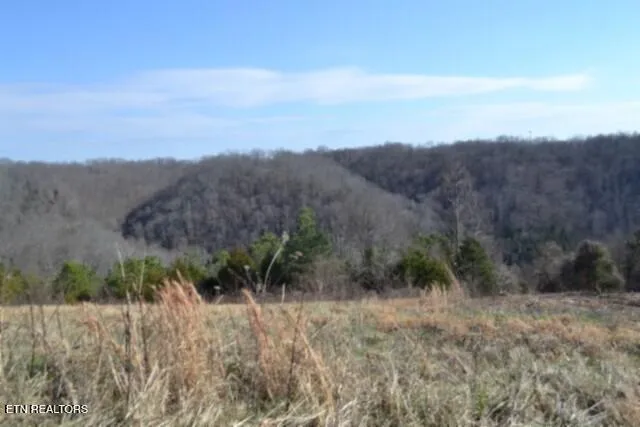 $69,900 | Lot 13 Lord Botetourt Court, Baxter, TN 38544