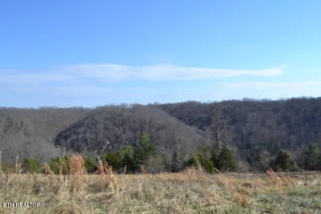 $69,900 | Lot 13 Lord Botetourt Court, Baxter, TN 38544