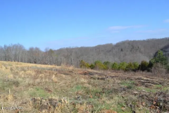 $69,900 | Lot 13 Lord Botetourt Court, Baxter, TN 38544