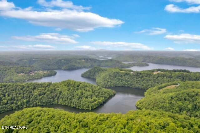 Lot 13 Lord Botetourt Court Baxter, TN 38544 - Photo 3 of 40 237597_1