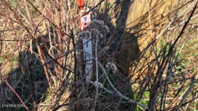 $69,900 | Lot 13 Lord Botetourt Court, Baxter, TN 38544