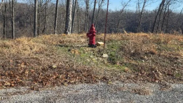 $69,900 | Lot 13 Lord Botetourt Court, Baxter, TN 38544
