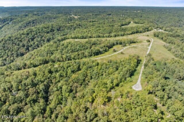 Lot 13 Lord Botetourt Court Baxter, TN 38544 - Photo 4 of 40 239476_4