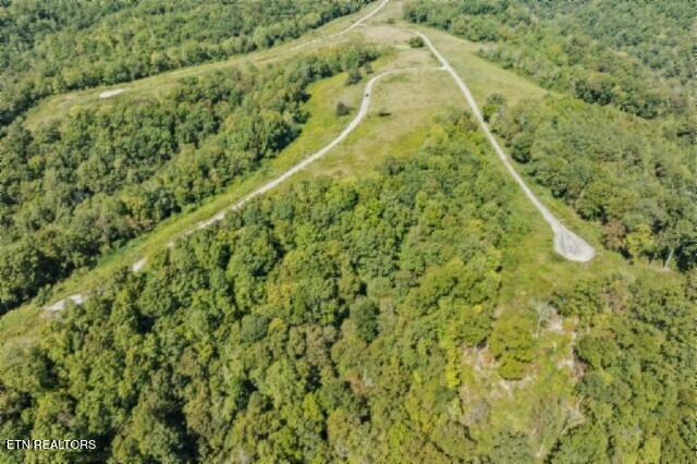 Lot 13 Lord Botetourt Court Baxter, TN 38544 - Photo 5 of 40 239476_5