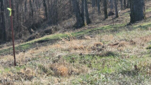 Lot 13 Lord Botetourt Court Baxter, TN 38544 - Photo 9 of 40 20260116_132051