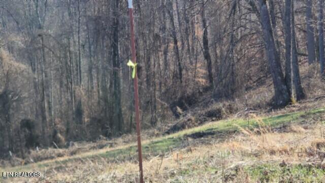 Lot 13 Lord Botetourt Court Baxter, TN 38544 - Photo 10 of 40 20260116_132055