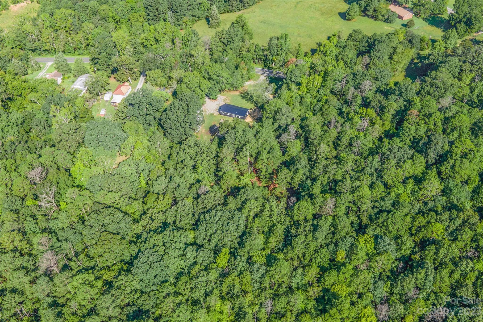 177 State Rd S-29-70 Lancaster, SC 29720 - Photo 29 of 30 a view of a lush green forest with lots of trees