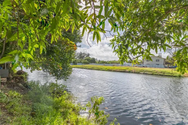 a view of a yard with a tree