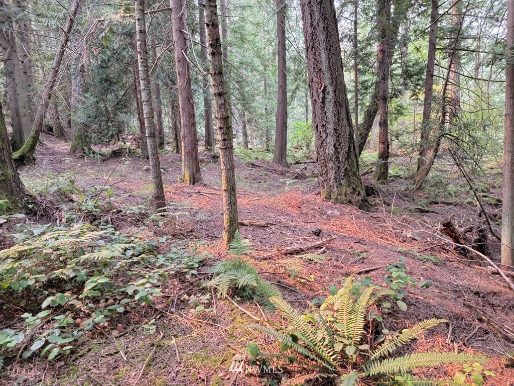 235 Rocky Bay Road Friday Harbor, WA 98250 - Photo 12 of 13 Gallery Image 12