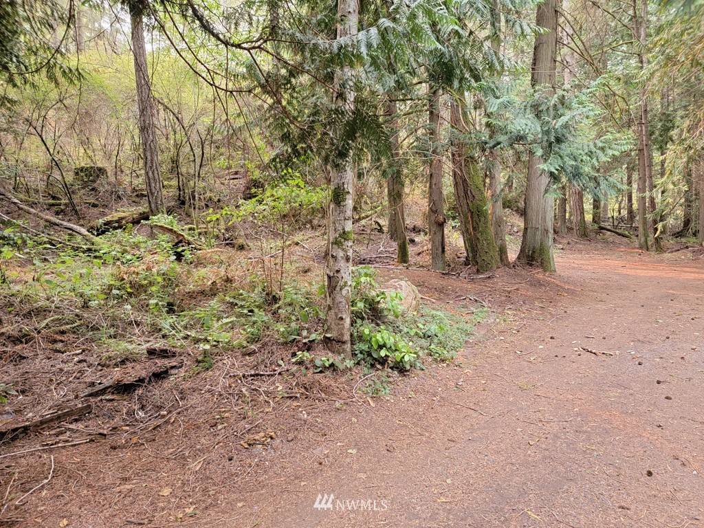 235 Rocky Bay Road Friday Harbor, WA 98250 - Photo 4 of 13 Gallery Image 4