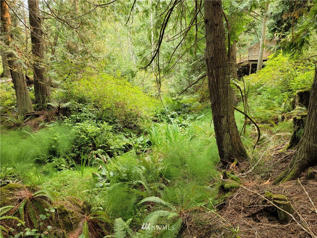 235 Rocky Bay Road Friday Harbor, WA 98250 - Photo 6 of 13 Gallery Image 6