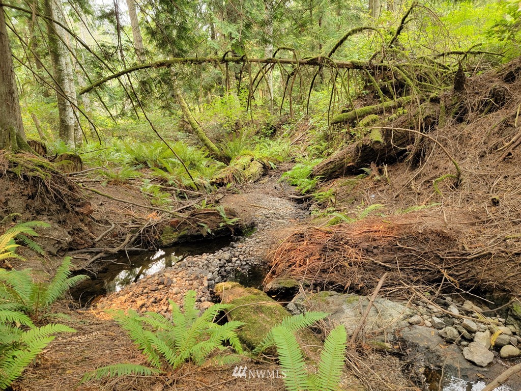 235 Rocky Bay Road Friday Harbor, WA 98250 - Photo 7 of 13 Gallery Image 7