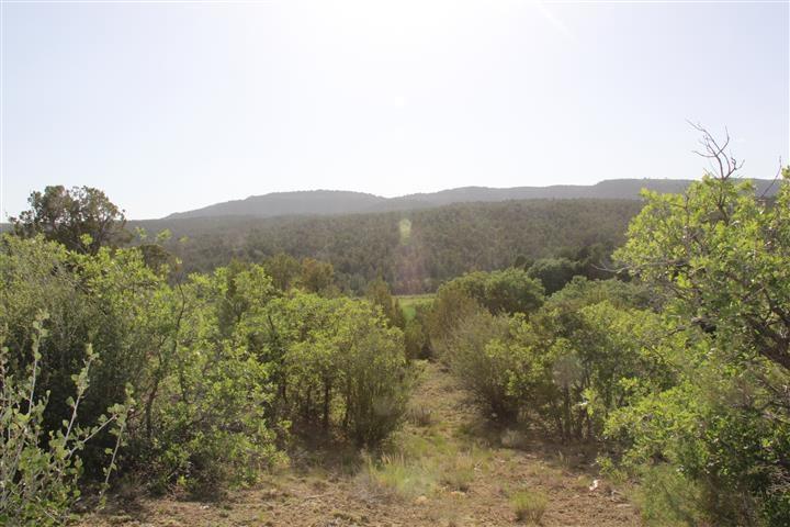 Mineral Springs Road Kanab, UT 84741 - Photo 18 of 51 19