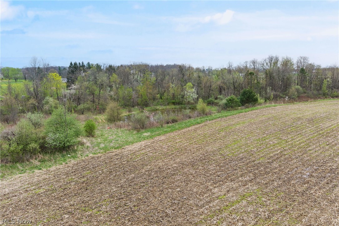 4144 Greenwich Road Seville, OH 44273 - Photo 6 of 10