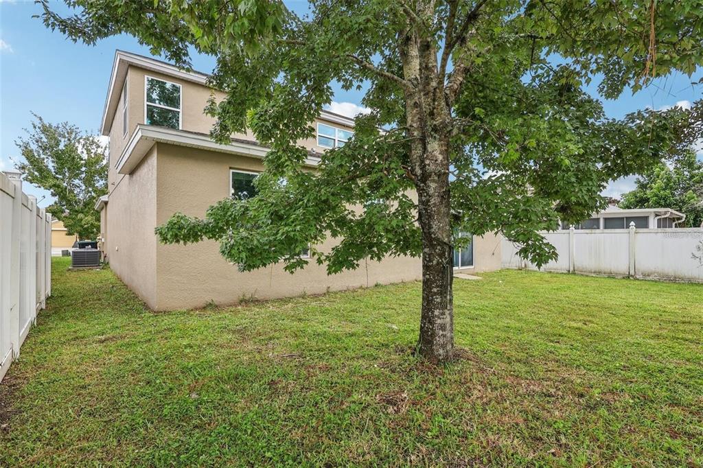 1126 Maumee Street Orlando, FL 32828 - Photo 18 of 21 a view of a house with backyard and a tree