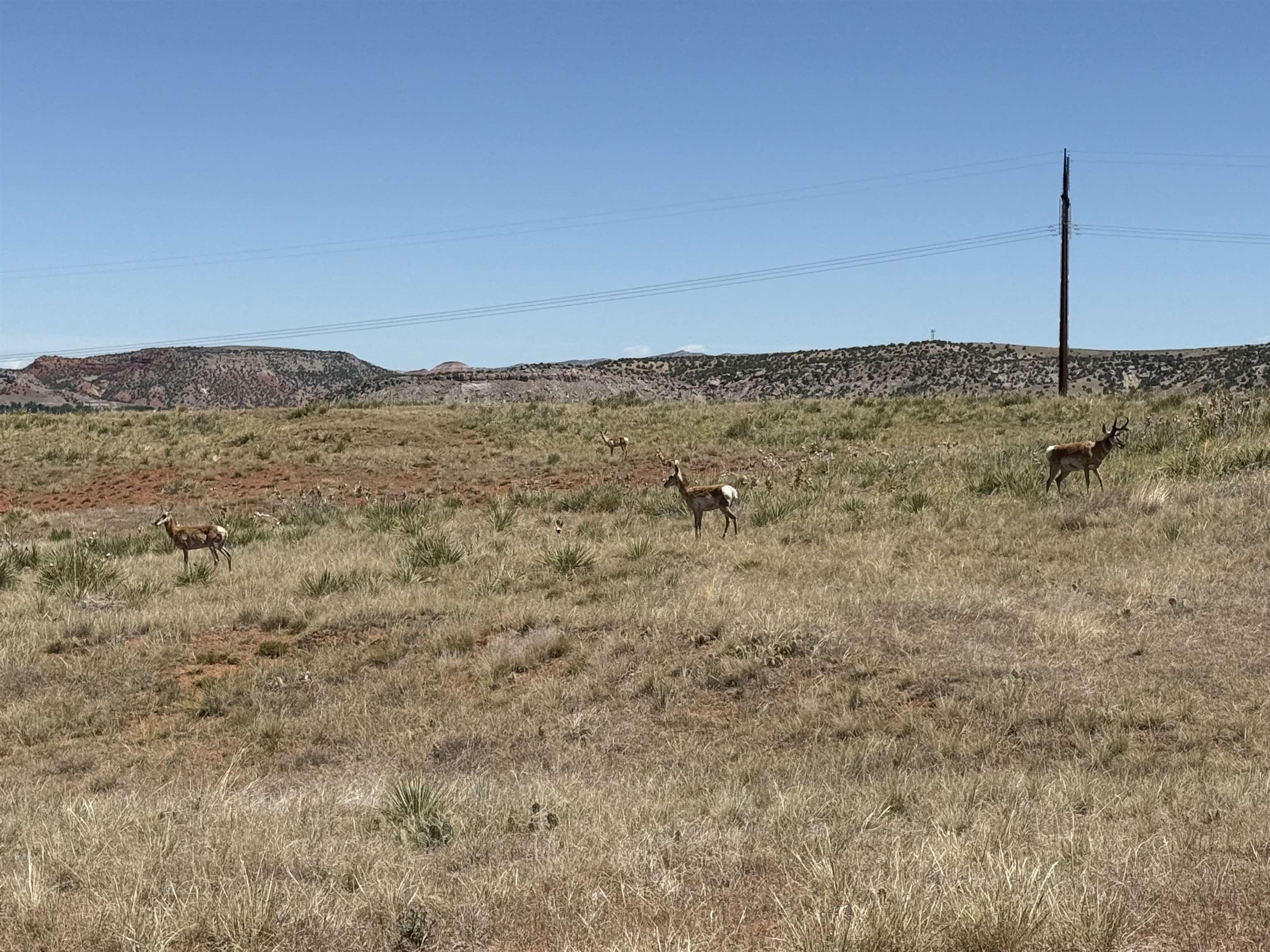 Lot 31 Red Rim Ranch Thermopolis, WY 82443 - Photo 4 of 11