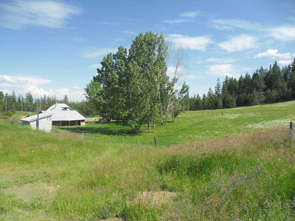 4443 Williamson Road Clayton, WA 99110 - Photo 4 of 20