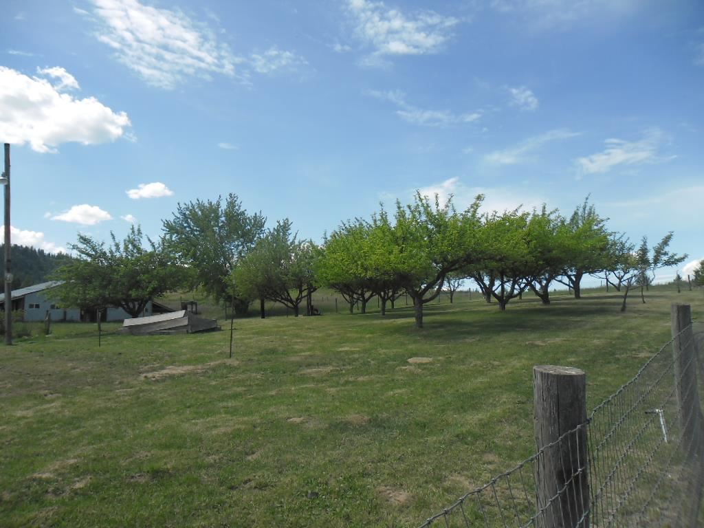 4443 Williamson Road Clayton, WA 99110 - Photo 5 of 20