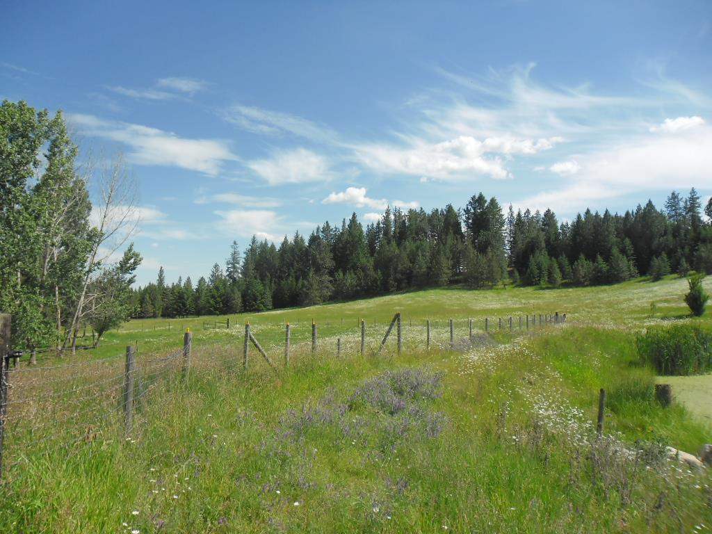 4443 Williamson Road Clayton, WA 99110 - Photo 8 of 20