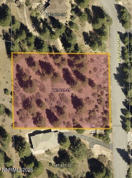 Image 2-6-26 at 9.33 AM