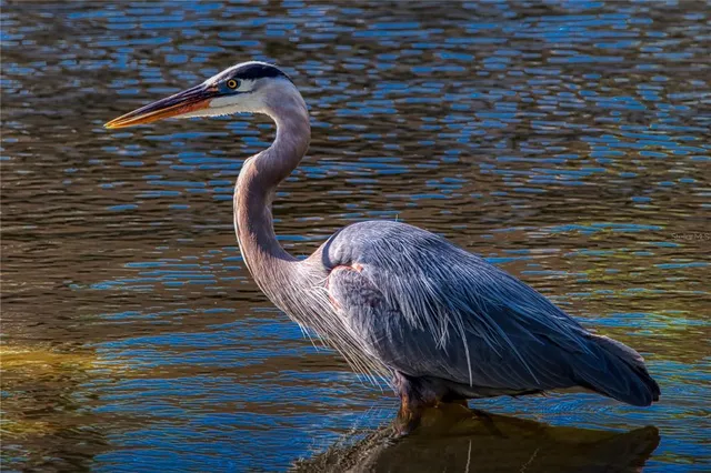 $180,000 | 515 Midway Drive, Unit A, Ocala, FL 34472