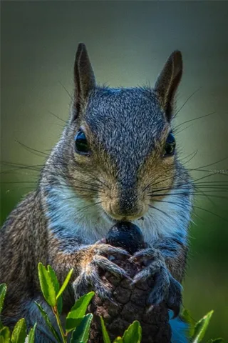 $180,000 | 515 Midway Drive, Unit A, Ocala, FL 34472