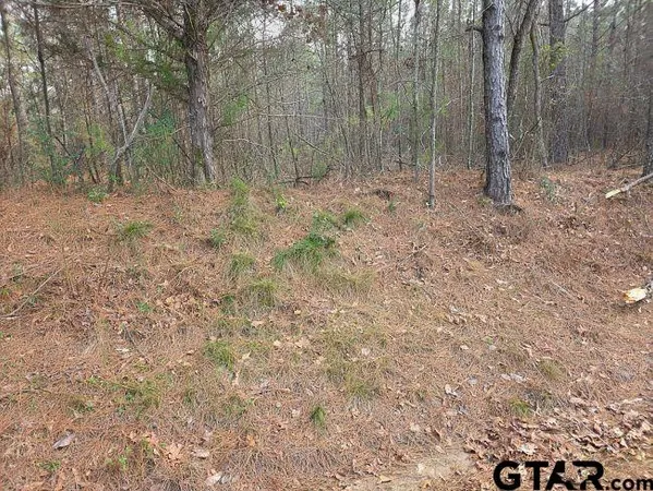 $78,500 | 7.85 Ac Cr, Mount Enterprise, TX 75681
