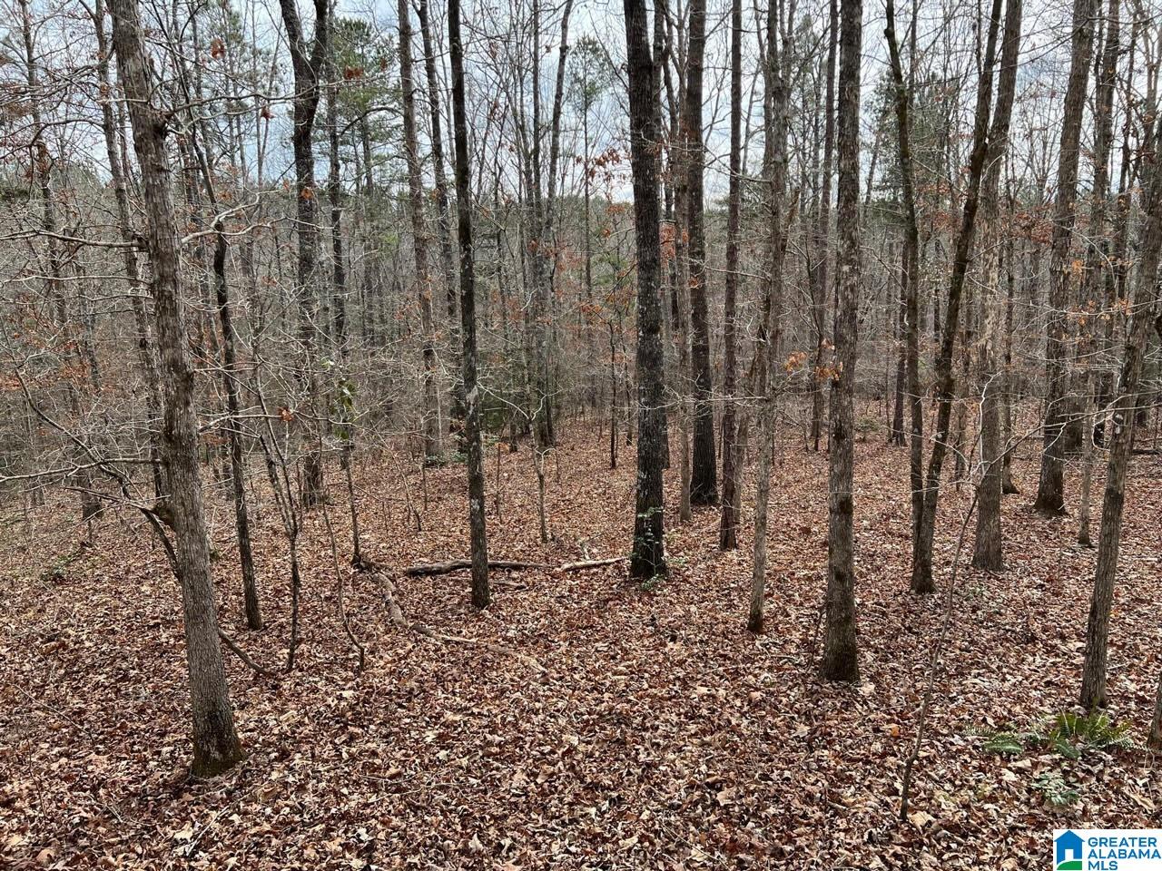 Plyers Mill Road, Unit 43 Alexander City, AL 35010 - Photo 21 of 27