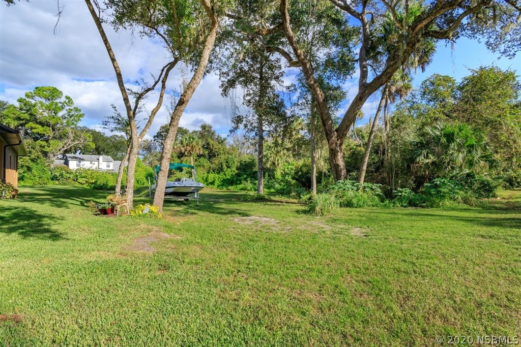 141 Poinciana Road Edgewater, FL 32141 - Photo 23 of 26 a view of a park with large trees