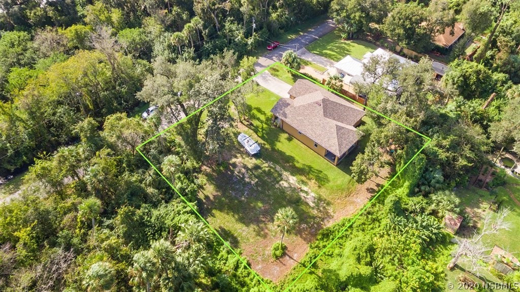 141 Poinciana Road Edgewater, FL 32141 - Photo 26 of 26 a picture of tree
