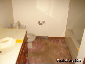 125 East Wilcox Street Springfield, IL 62707 - Photo 4 of 9 Gallery Image 4
