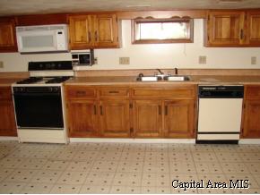 125 East Wilcox Street Springfield, IL 62707 - Photo 6 of 9 Gallery Image 6