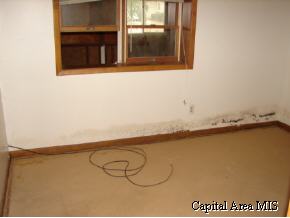125 East Wilcox Street Springfield, IL 62707 - Photo 8 of 9 Gallery Image 8