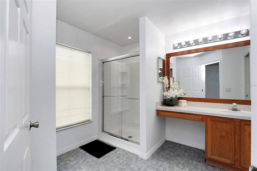 10648 Southwest 38th Avenue Ocala, FL 34476 - Photo 30 of 52 a bathroom with a sink and a mirror