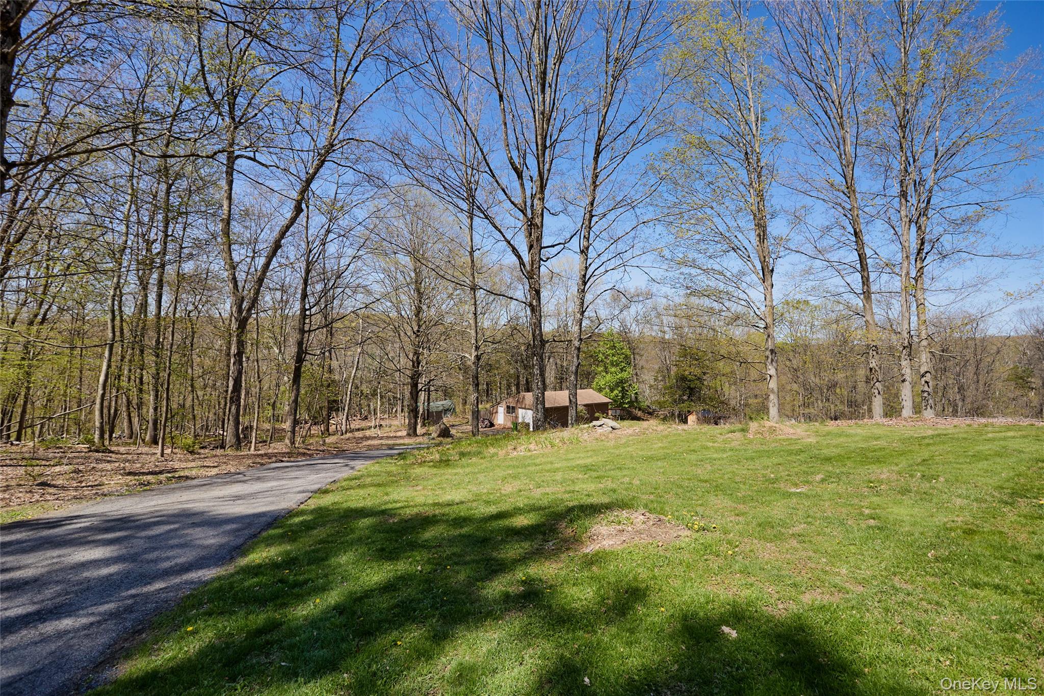 32 Cole Road Pleasant Valley, NY 12569 - Photo 12 of 49 a backyard of apartments with large trees