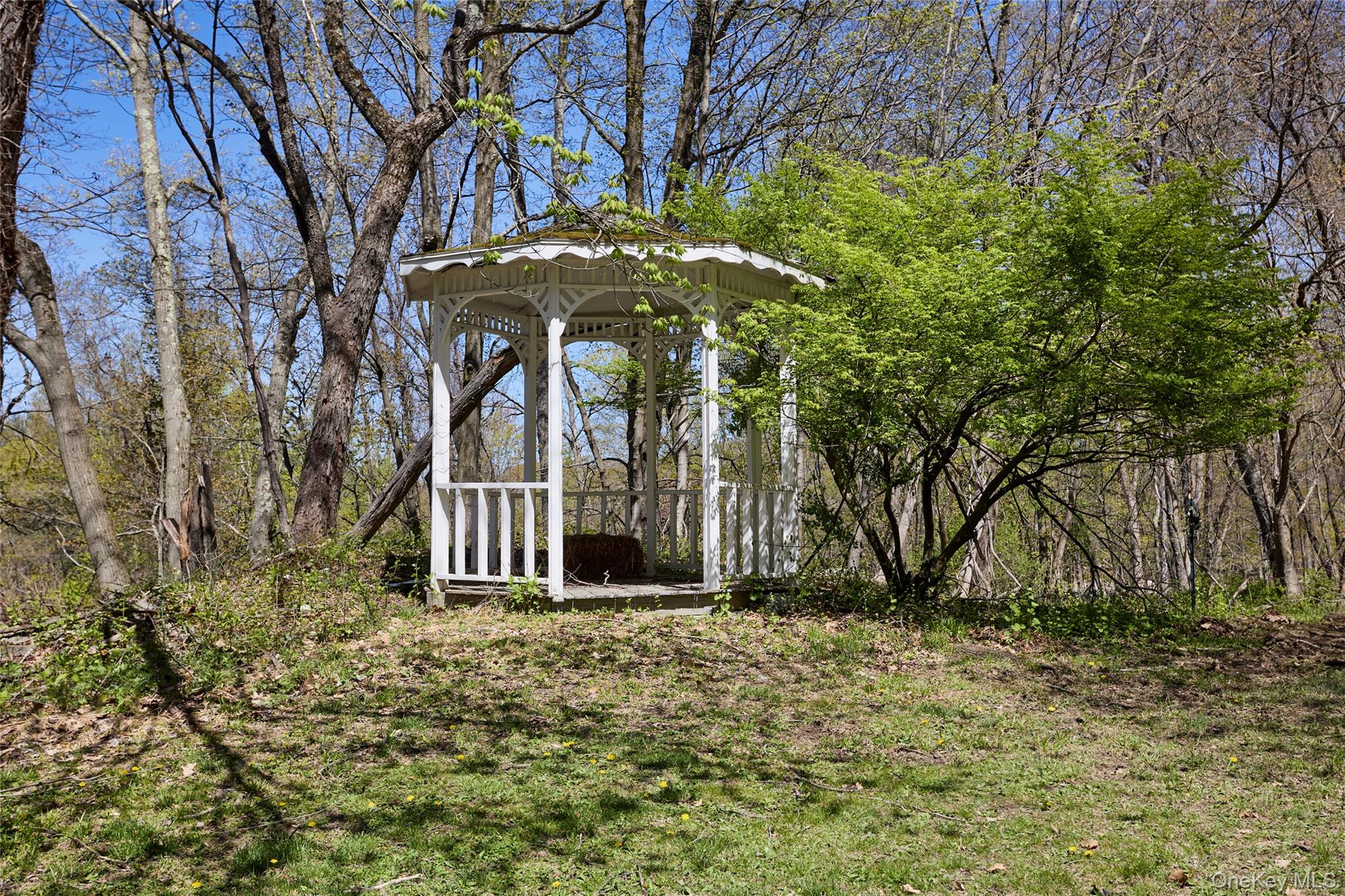 32 Cole Road Pleasant Valley, NY 12569 - Photo 8 of 49 a view of a house with a yard