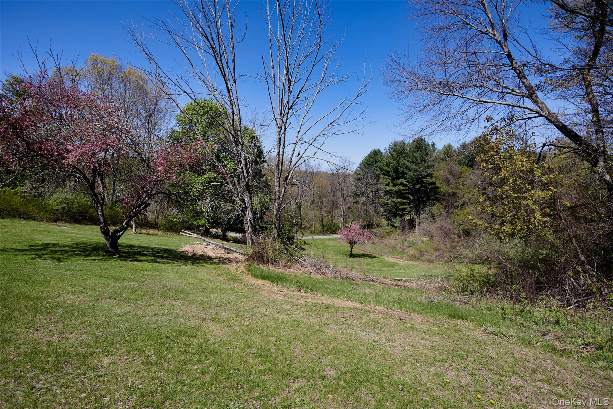 32 Cole Road Pleasant Valley, NY 12569 - Photo 9 of 49 a view of a backyard with a tree